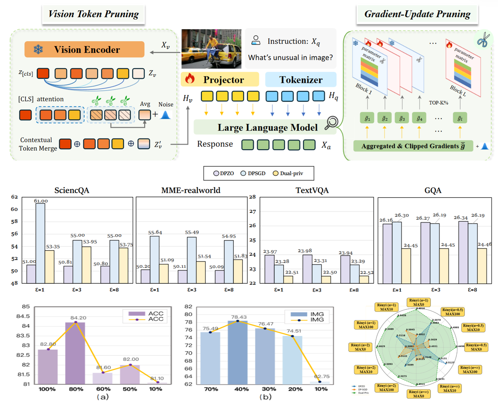 Dual-Priv Pruning: Efficient Differential Private Fine-Tuning in Multimodal Large Language Models